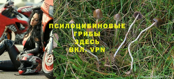 соль ск Алексин