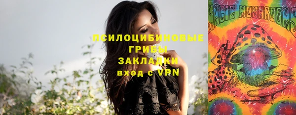 Альфа ПВП Медвежьегорск